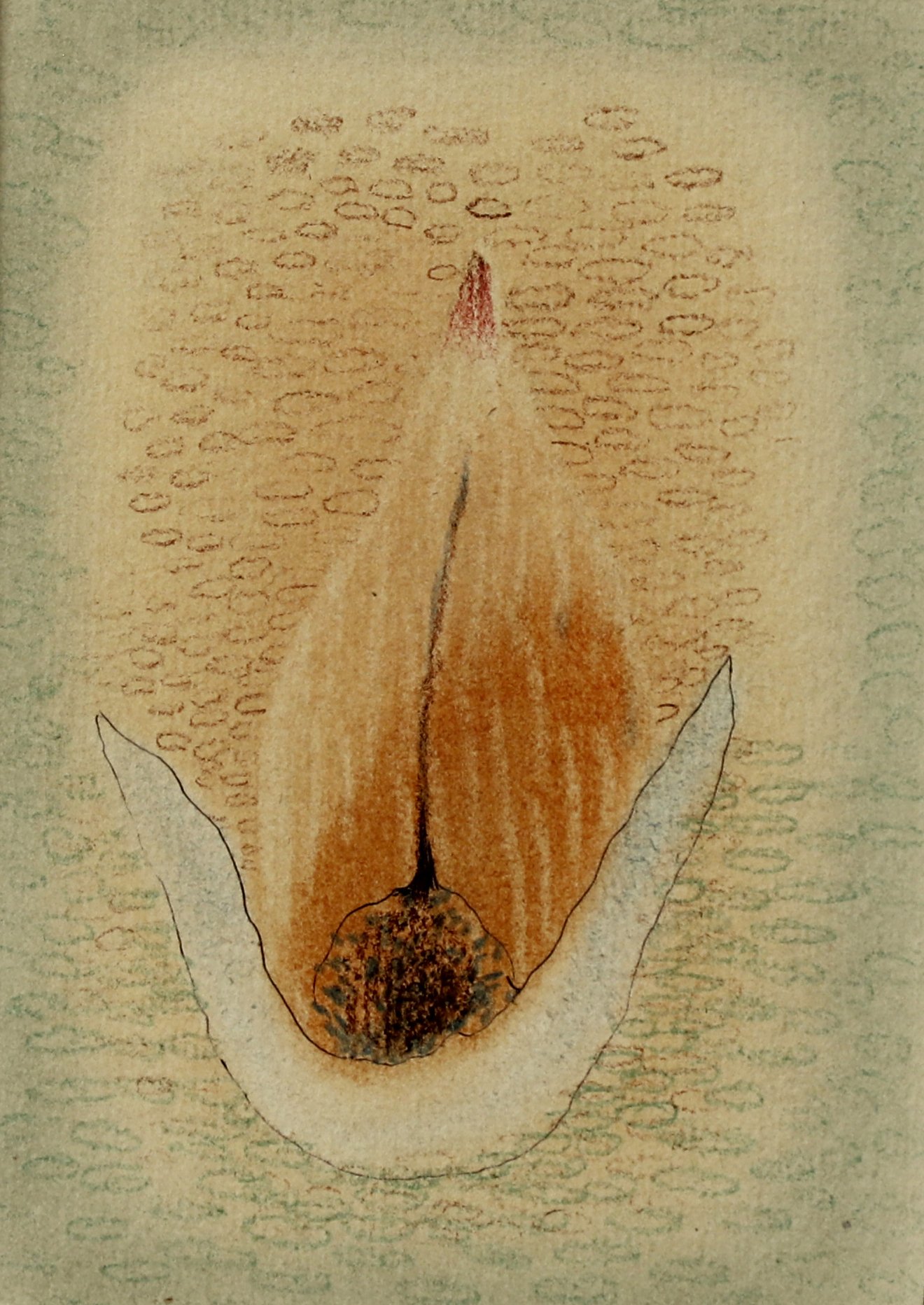 Pramod Gaikwad