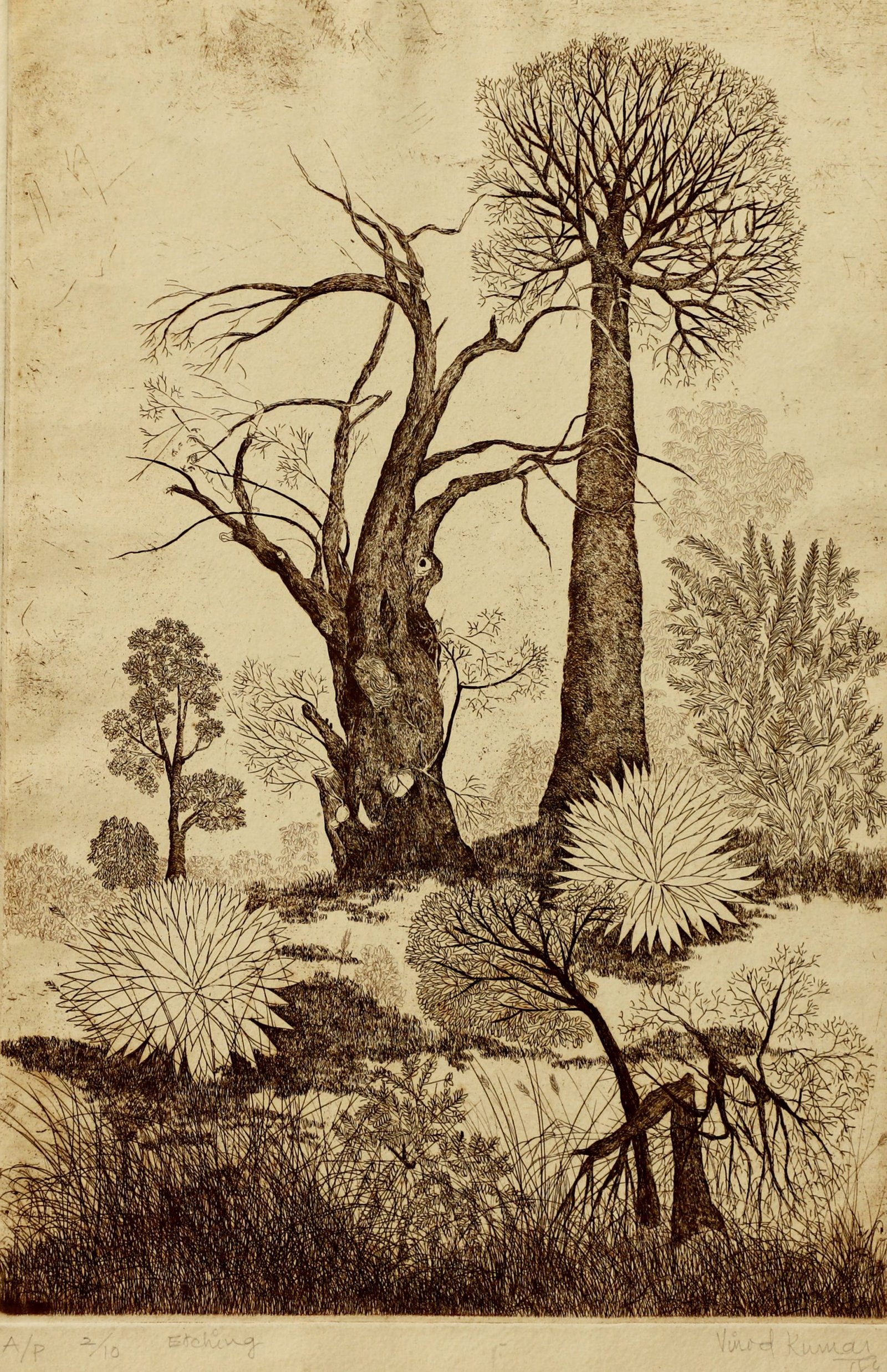 Vinod Kumar - Image 2